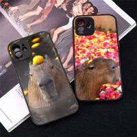 Capybara เคสโทรศัพท์ลายสัตว์ผิวด้านโปร่งใสน่ารักสำหรับ Iphone 14 11 12 13 Mini X Xs Xr Pro Max Plus เคส Capibara น่ารัก