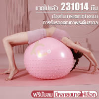 ลูกบอลยางใหญ่ ลูกบอลออกกำลังกาย บอลโยคะ Yoga Ball ลูกบอลโยคะใหญ่ ขนาด 55 /65 /75 cm บอลออกกำลังกาย ลูกบอลฟิตเนส + ที่สูบลม แบบหนา ไม่แตกง่าย