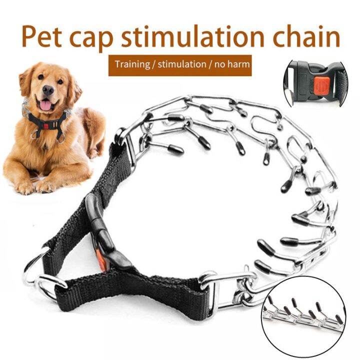 Pet Pet Champion Prong Training Collar Large Dog Choker Quick