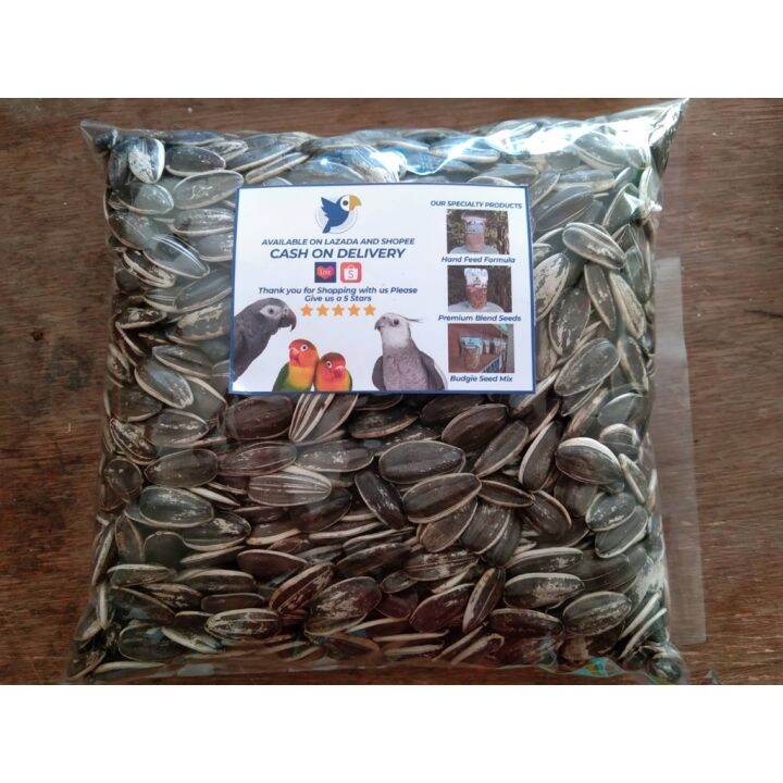 Jumbo Sunflower Seed for Medium to Large sized birds Parrots, Cockatoo