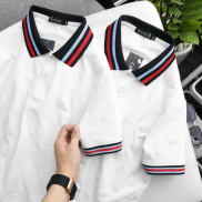 Ao polo nam PL17 áo polo CG chất cotton thông thoáng