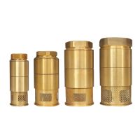 1 1-1/2 2 2-1/2 3 4 BSP Female Brass Non-return One Way Check Valve With Fliter For gas station Oil Tank Bottom