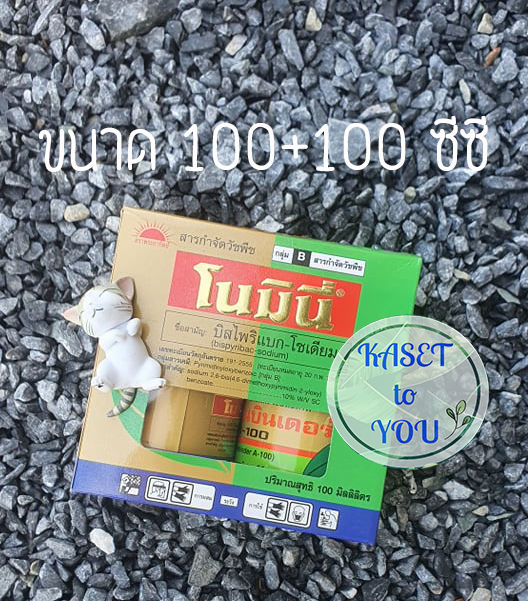 โนมินี่-100cc-สารกำจัดวัชพืชในนาข้าว-โนมินี่-100ซีซี-ซันบินเดอร์-100ซีซี-สารกำจัดวัชพืช-หญ้าดอกธูป-จากบ-tjc