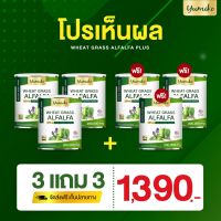 3 แถม 3 (6 กระปุก) วีทกราส อัลฟัลฟ่า พลัส ยูมิโกะ 200 กรัม Wheatgrass Alfalfa Plus by Yumiko 200 g.