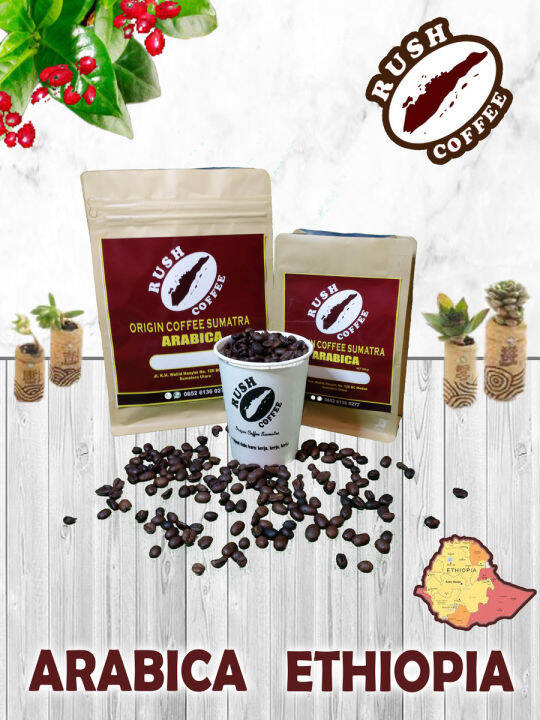 Kopi Arabika Ethiopia 250g (Kopi Biji/ Kopi Bubuk) | Lazada Indonesia