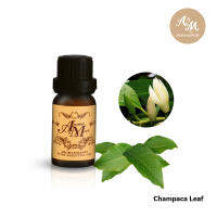 Aroma&amp;More  Champaca Leaf (Michelia Alba)น้ำมันหอมระเหยใบจำปี 100%, CHINA  ขนาด  5/10/30/100ML