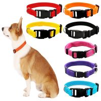 Dog Training Collar Dog Collar Solid Color Pet Dog Cat Collar Teddy Bear Small Dog Collars Puppies Medium Dog Pet Supplies Leashes