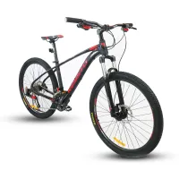 keysto conquest 29er 2021