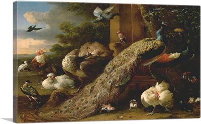 นกยูงและถั่วลันเตากับนกกระเรียนรูปภาพพิมพ์บนผ้าใบโดย Melchior D-Hondecoeter X ลึก
