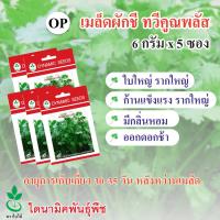 เมล็ดพันธุ์ผักชี ทวีคูณ พลัส นำเข้าจากประเทศอิตาลี ตรา ใบไม้ 6 กรัมต่อซอง 5 ซอง จาก ไดนามิคพันธุ์พืช Coriander seeds (Taweekoon Plus) 6 grams x 5 sachets by Dynamic Seeds