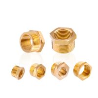 M5 M6 M8 M10 M12 M14 M16 M20 Metric Male To Female Thread Brass Reducer Bushing Reducing Pipe Fitting Coupler Connector Adapter