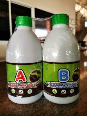 ปุ๋ย ab ,ปุ๋ยน้ำ AB ,ปุ๋ย A+B ปุ๋ยผักสลัด แพ็คคู่ ขวดละ 500 ml.