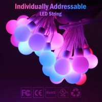 ZZOOI Dream Color WS2812B RGB Round Ball LED String Lights Christmas Party Birthday Decoration Addressable Individually IP67 DC5V