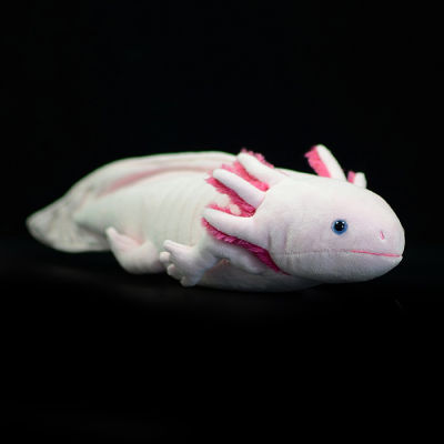 น่ารัก Axolotl ยัดตุ๊กตาของเล่นชีวิตจริงจำลอง Ambystoma Mexicanum ไดโนเสาร์สัตว์รุ่นตุ๊กตาตุ๊กตาสำหรับเด็ก Audlt ของขวัญ