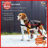 ขายดี WHEELCARE - wheelchair dog วีลแชร์ รถเข็น สำหรับสัตว์พิการขาหลัง ทำจากอลูมิเนียมอัลลอยด์ คุณภาพสูง มีหลายขนาดปรับได้