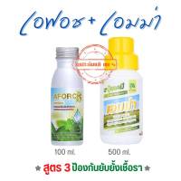 AFORCH เอฟอช ขนาด 100cc + เอมม่า 500cc สูตรป้องกันเชื้อรา รากเน่า ผลเน่า ใบไหม้