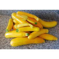 เมล็ดพันธุ์ ซูกินีสีทอง yellow zucchini  ซูกินี เหลือง เมล็ดนำเข้า 4-30 เมล็ด (ซื้อ 10 เเถม 1 คละได้)