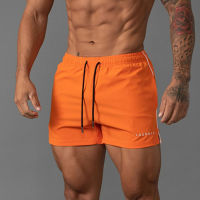 （Ready Stock）? 2023 Mens Summer New Sports Outdoor Leisure Shorts Casual Running Fitness Breathable Printing Shorts YY