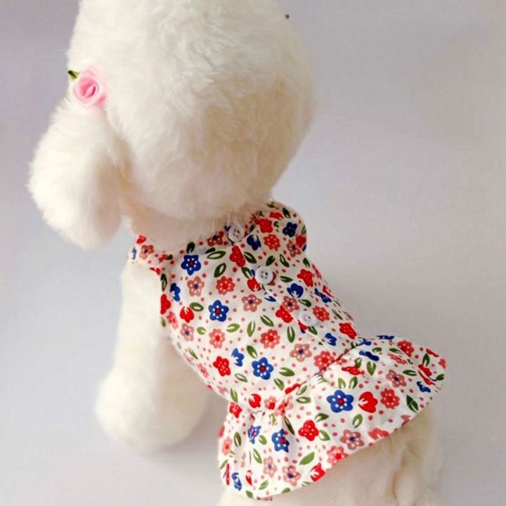 Tổng hợp Váy Cho Chó Poodle giá rẻ bán chạy tháng 52023  BeeCost
