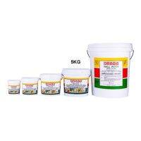 สีโป๊วปูน DRAGA WALL PUTTY D917 5KG ขาว