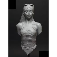 Total Height: 75mm, Resin Model Bust GK， Unassembled and unpainted kit