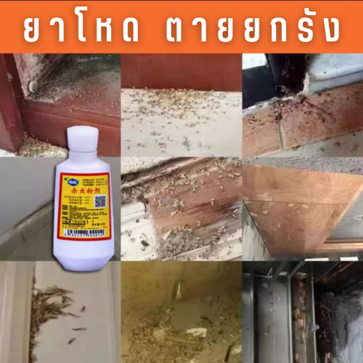 อาวุธหนัก-ยาฆ่าปลวกยกรัง-ยาฆ่าปลวกติดเชื้อตายในรัง-กำจัดปลวก-ยาจะติดตามตัว-และพาเพื่อนรัง-ตายยกรัง-น้ำยากำจัดปลวก-ปลวก-ยาฆ่าแมลง