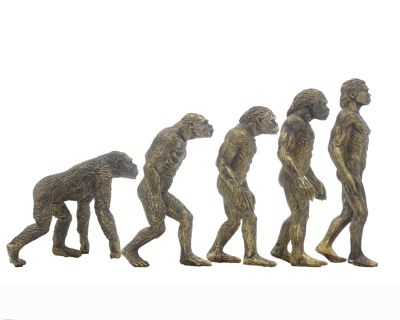 Origin of Humans Human Evolution Ape-Man Paleontological Doll Static Model Ornament Toys