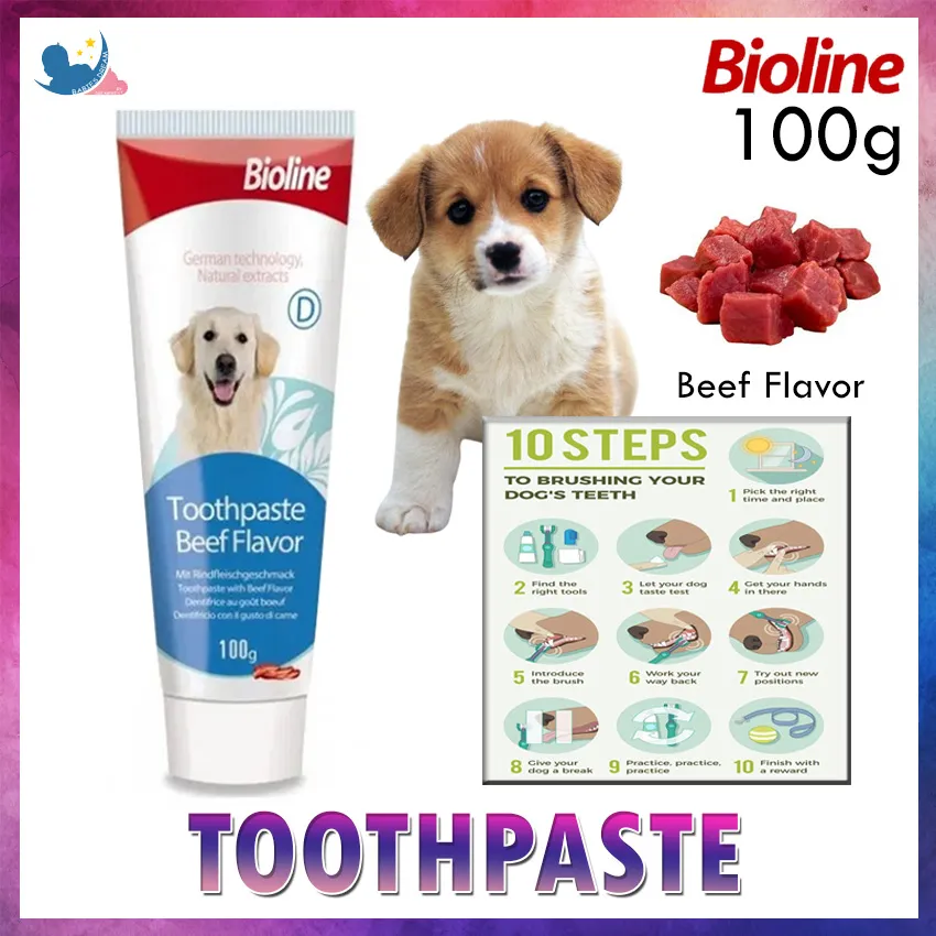 Is It Ok To Use Toothpaste On Dogs