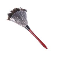 Ostrich Cleaning Feather Duster Ostrich Duster Ostrich Feather Duster Soft Feathers Duster From furniture to fan blades of various jobs Photo Color