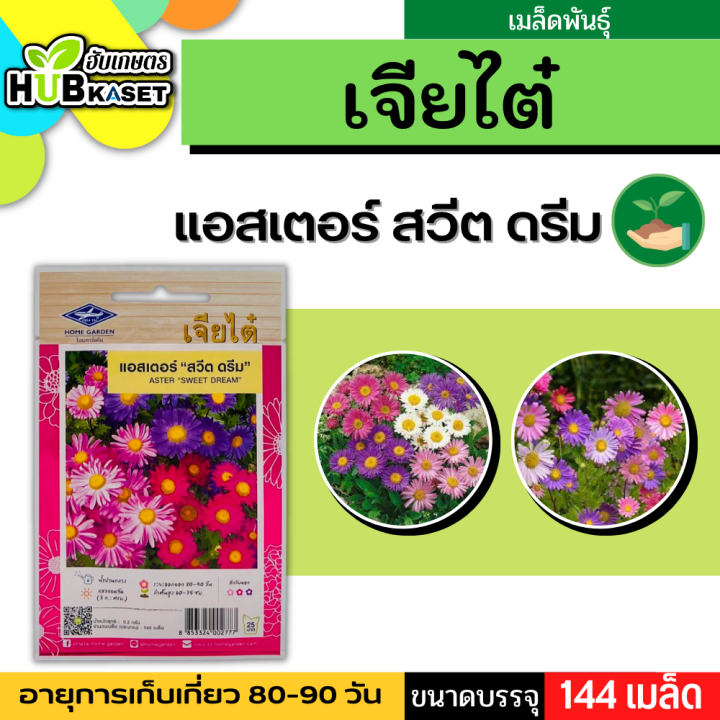 เจียไต๋ 🇹🇭 แอสเตอร์ สวีตดรีม ขนาดบรรจุประมาณ 144 เมล็ด ระยะเก็บเกี่ยว 80-90 วัน