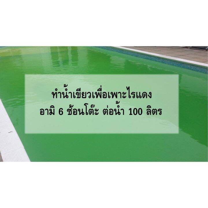 ปุ๋ยน้ำ-อามิ-อามิ-กากผงชูรส-ขนาด-600-ml