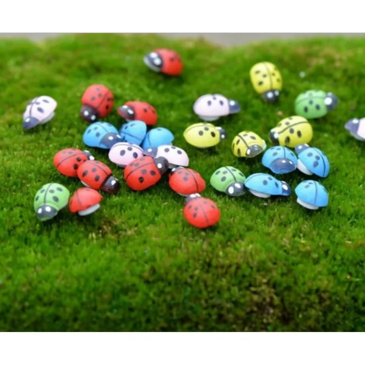 10 con bọ cánh cứng nhiều màu làm phụ kiện tiểu cảnh trang