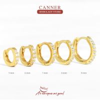 CANNER Real 925 Sterling Silver Earrings For Women Round Micro Inlay Earrings Hoops Zircon Diamond Jewelry Brincos 6 7 8 9mm