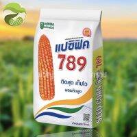 ข้าวโพดเลี้ยงสัตว์ แปซิฟิค 789 ขนาด 3.5 หุน