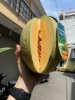 Vg farm dưa lưới premium melon trái dài ruột cam 1,5kg - 1,7kg giòn, ngọt - ảnh sản phẩm 2