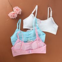 Puberty Young Girls Sport Bra Kids Padded Underwear Children Clothe Training Bra Teens Clothing