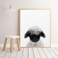 ✥ Lamb พิมพ์เนอสเซอรี่ Wall Decor น่ารัก Blacknose Lamb ฟาร์มสัตว์พิมพ์สีดำสีขาว Sheep Art ภาพวาดผ้าใบเด็กตกแต่งห้อง