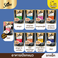 ยกโหล Sheba อาหารเปียกแมวแบบ แพ็ค 12 ซอง ขนาด 70g