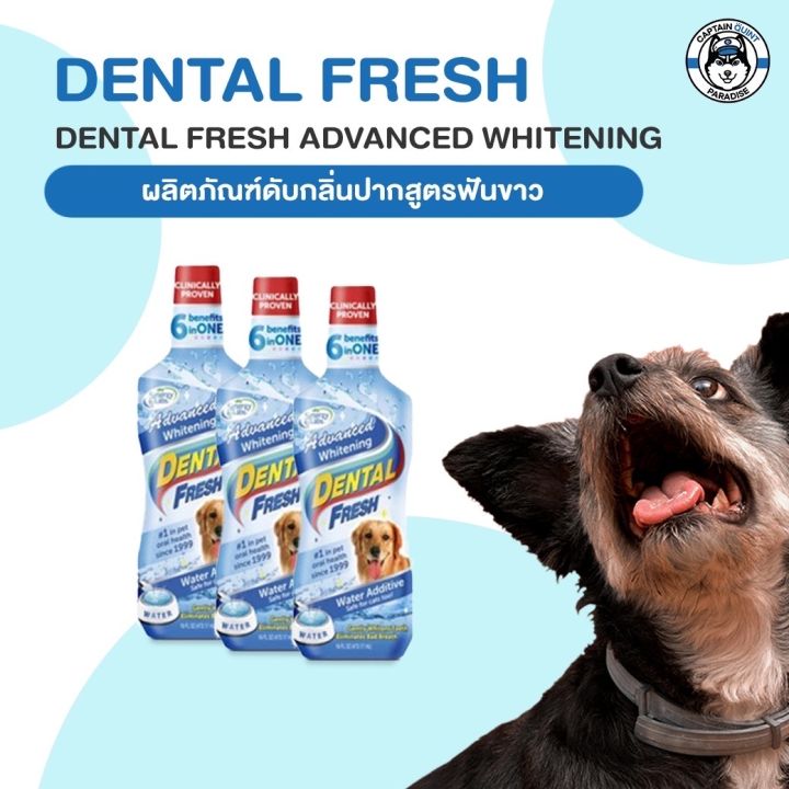 dental-fresh-น้ำยาลดกลิ่นปากสุนัข-ดูแลสุขภาพในช่องปาก-ลดหินปูน