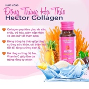 HECTOR COLLAGEN ĐÔNG TRÙNG HẠ THẢO