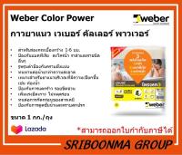 Weber Color Power | กาวยาแนว เวเบอร์คัลเลอร์ พาวเวอร์ | กาวยาแนวคุณภาพสูง ป้องกัน แบคทีเรีย ราดำ ตะไคร่น้ำ สำหรับ ห้องน้ำ และห้องครัว | ขนาด 1 กก.