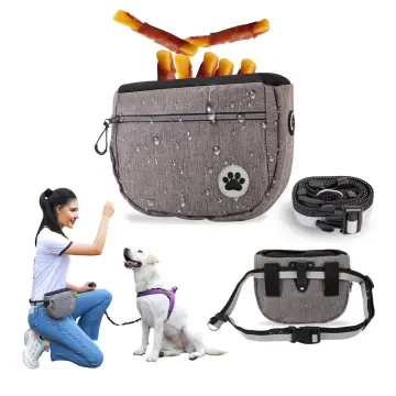 Creative Cats Carrier Bag With Lion Head Design Canvas Handbag With Hole  Pet Cat Carrier Puppy Dog Carrier single shoulder Bag - AliExpress