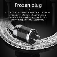 Hifi Siver-Plated Power Cable High Quality OCC Silver Power Cord With Carbon Fiber EU US AU Plug