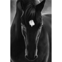 GATYZTORY Paint By Number Black Horse White Horse Pictures By Number Drawing On Canvas Handpainted Animal Art Gift Kit Diy Home