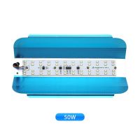 50W 100W นำ Lodine ทังสเตน220V Led Refletor โคมไฟฟลัดไลท์แสงโคมไฟฟลัดไลท์ Led กลางแจ้งสปอตไลท์ไฟ Led โคมไฟ Gargen