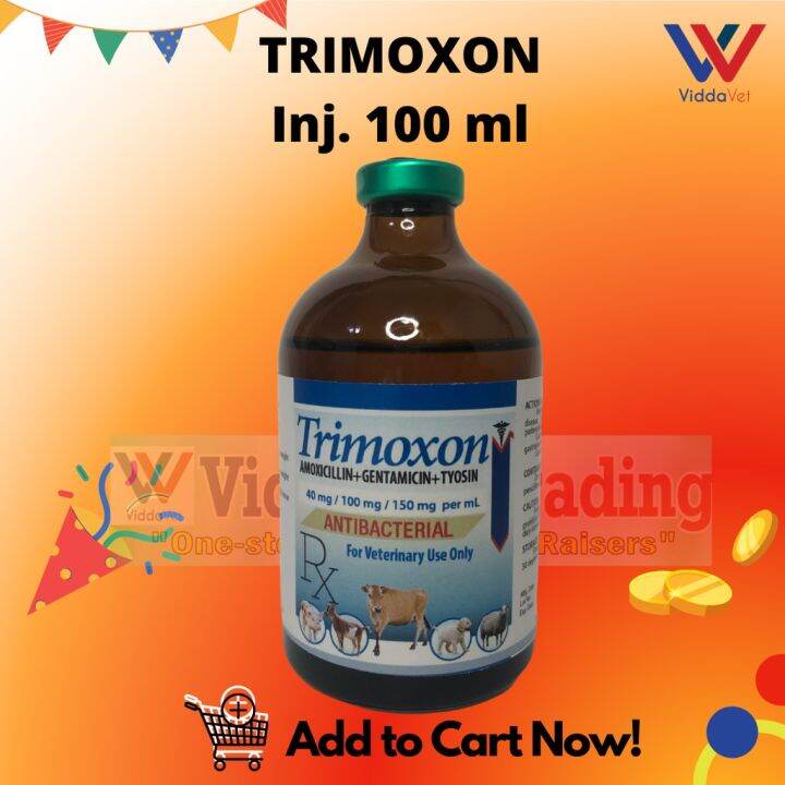 Trimoxon 100 ml Inj. anti piglet diarrhea amoxicillin gentamycin