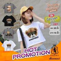 ✅เสื้อเอวลอย เสื้อครอป ผู้หญิง | สินค้าคนไทย | ยืนหนึ่งทุกซีซัน แมทช์ได้หลายสไตล์เปลี่ยนลุคให้ดุเซ็กซี่ ไม่กลัวโป๊