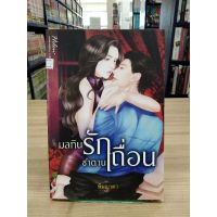 หนังสือนิยาย มลทินรักซาตานเถื่อน