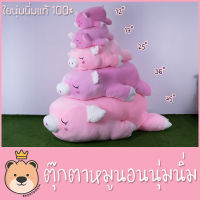 ตุ๊กตาหมูขี้เซา หมูนอน นุ่มนิ่ม ไซส์เล็กสุด-ใหญ่สุด ผ้า Super Soft นุ่มนิ่ม ใยไมโครแท้ 100% (แพ็คกล่อง/ส่งด่วน)