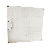 600W LED Quantum Grow Light Full Spectrum 220V สำหรับดอกไม้ในร่มเรือนกระจก VEG Seedling Growth Phyto โคมไฟ Fitolampy